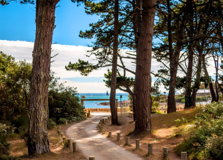 Un trésor naturel au cœur de la Bretagne